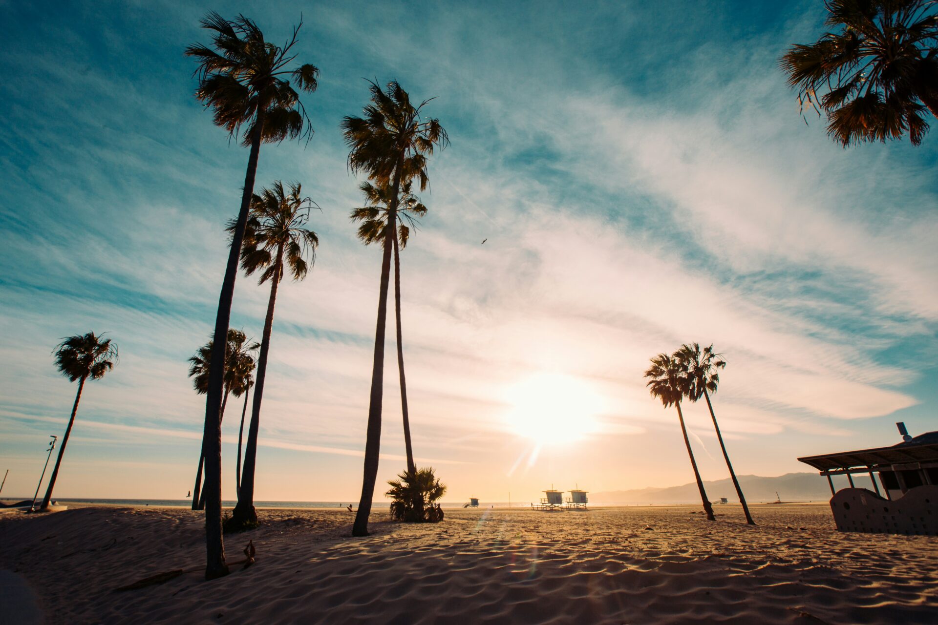 Sunny afternoon surrounded by palmtrees in Venice Beach California