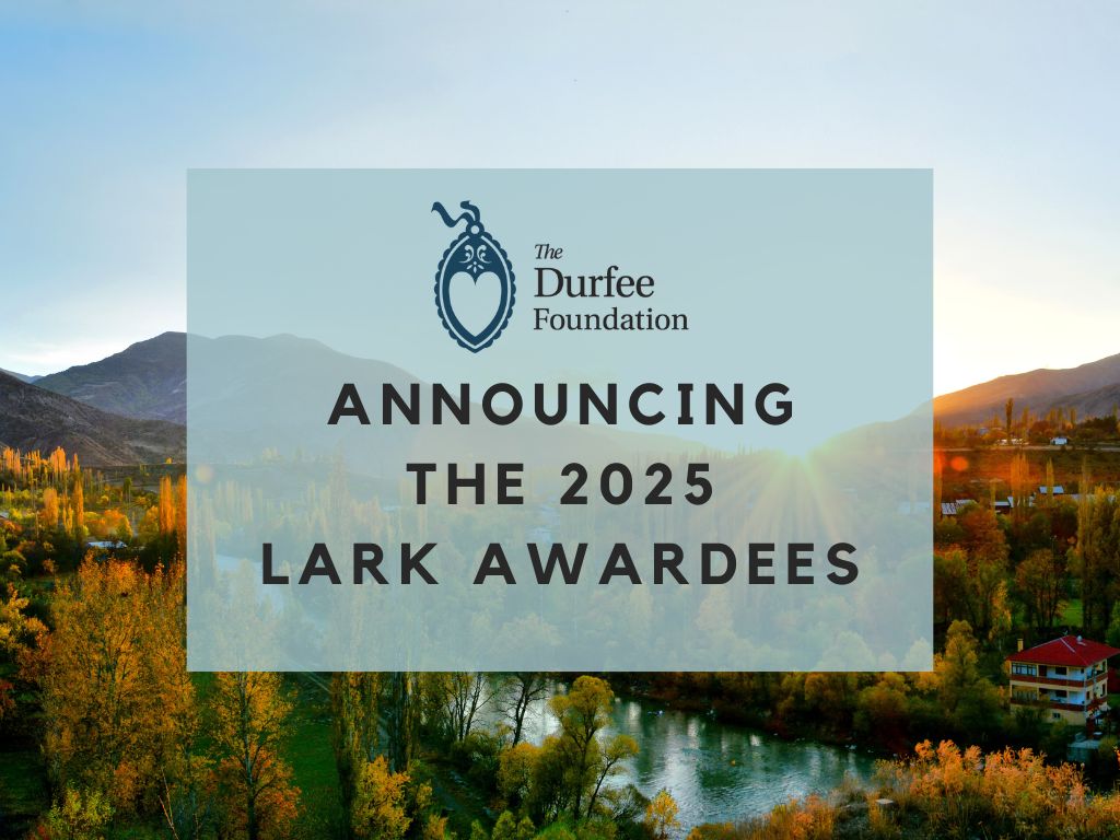 Announcing the 2025 Lark Awardees